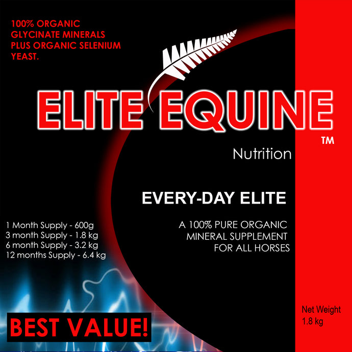 EVERY-DAY ELITE