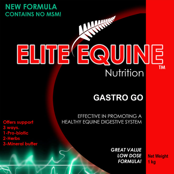 GASTRO GO